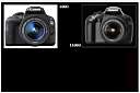 0002 CANON D-SLR.jpg